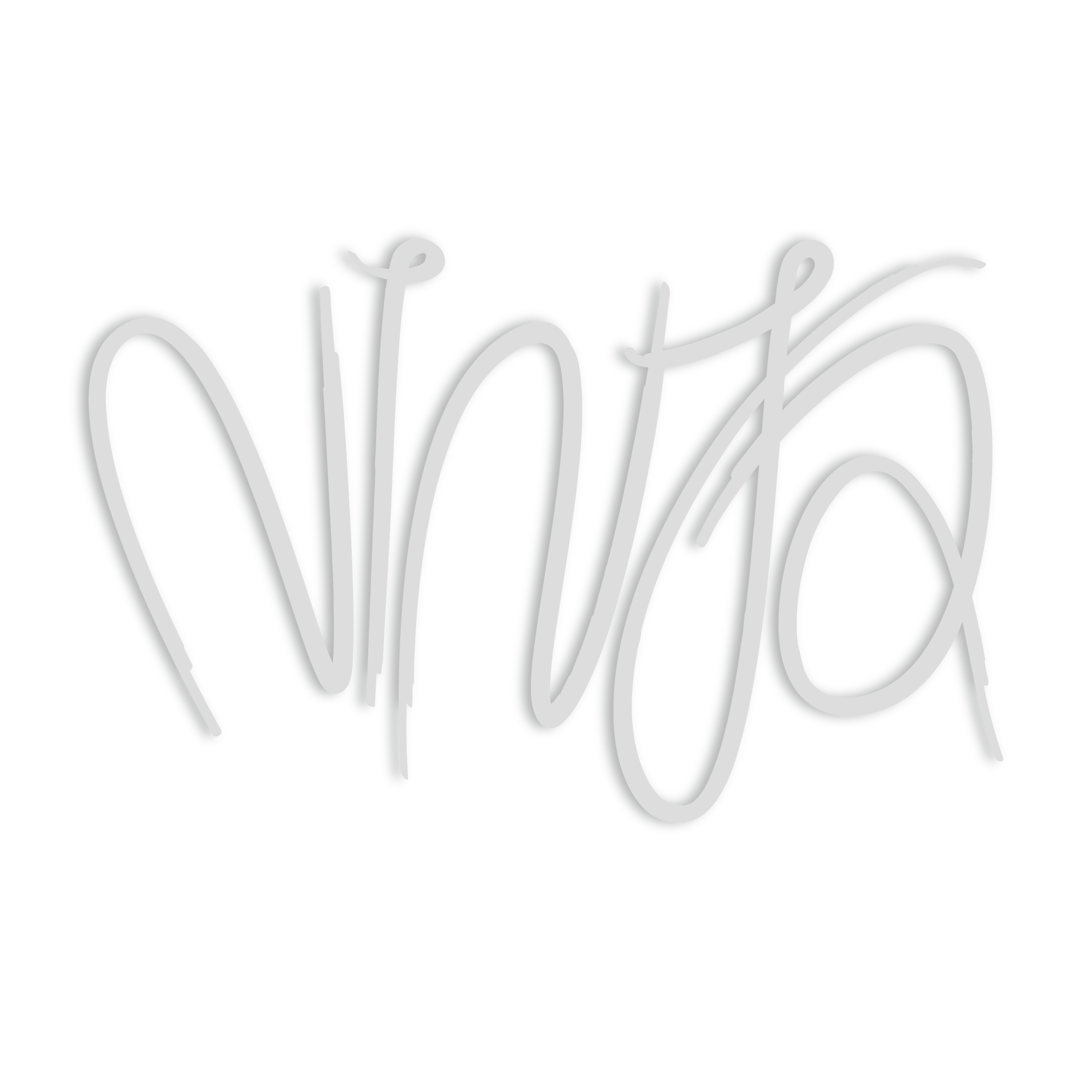 ninja-invisible_christelvoss2014-01.png