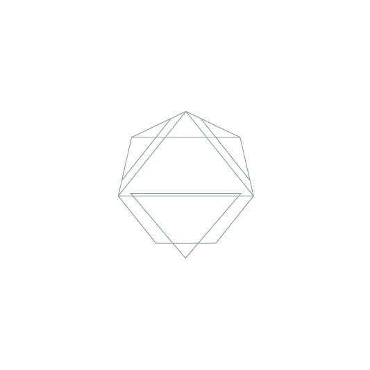 geometry_Thin_Icon_Silverdrum_(Christelvoss.com)-09.png