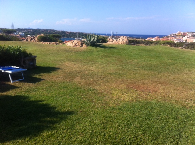 View to the port from the terrace