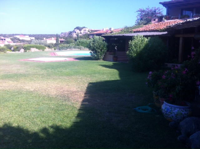 The pool