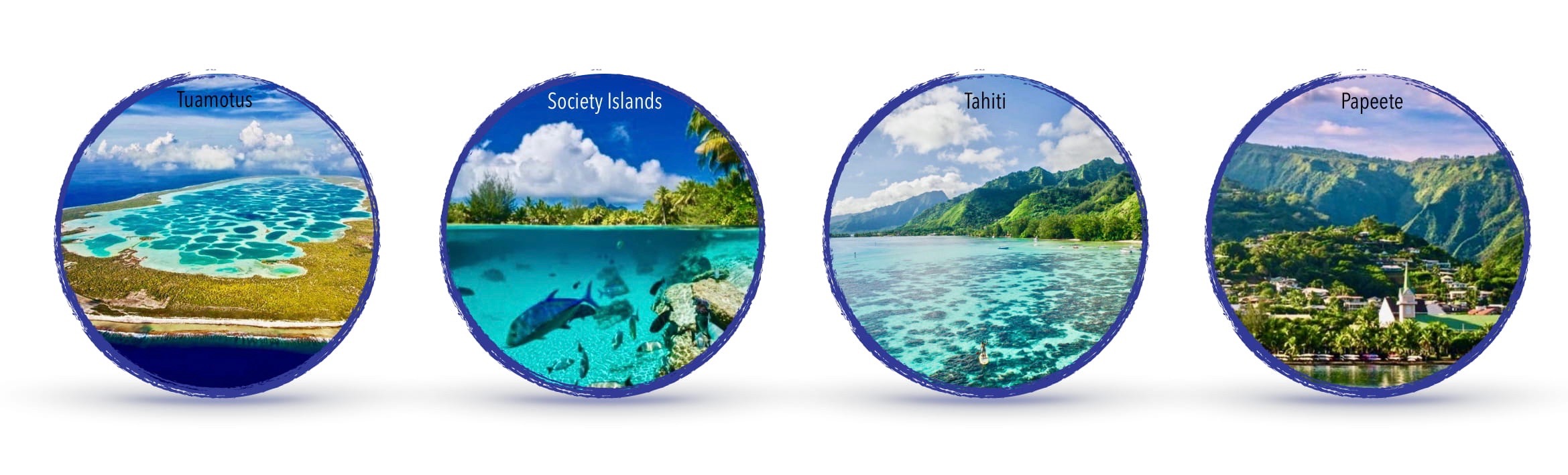 World ARC Website Pic Layout Leg 4-1.jpeg