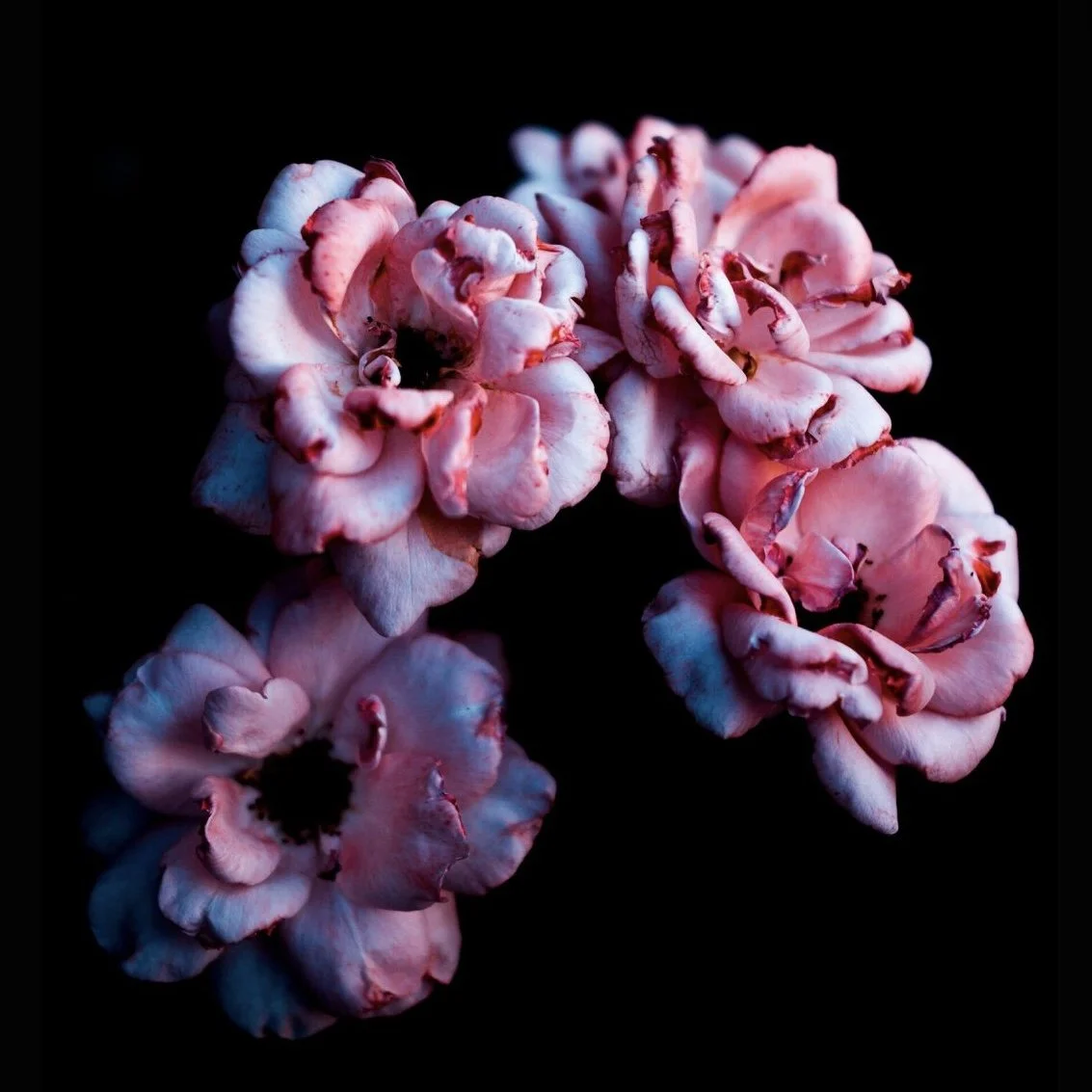 Rachmaninoff: All-Night Vigil by candlelight