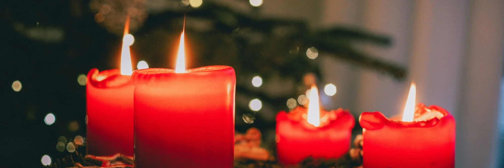 Four red candles burning in front of a lit Christmas tree. Image by Jonas Von Werne on Unsplash.