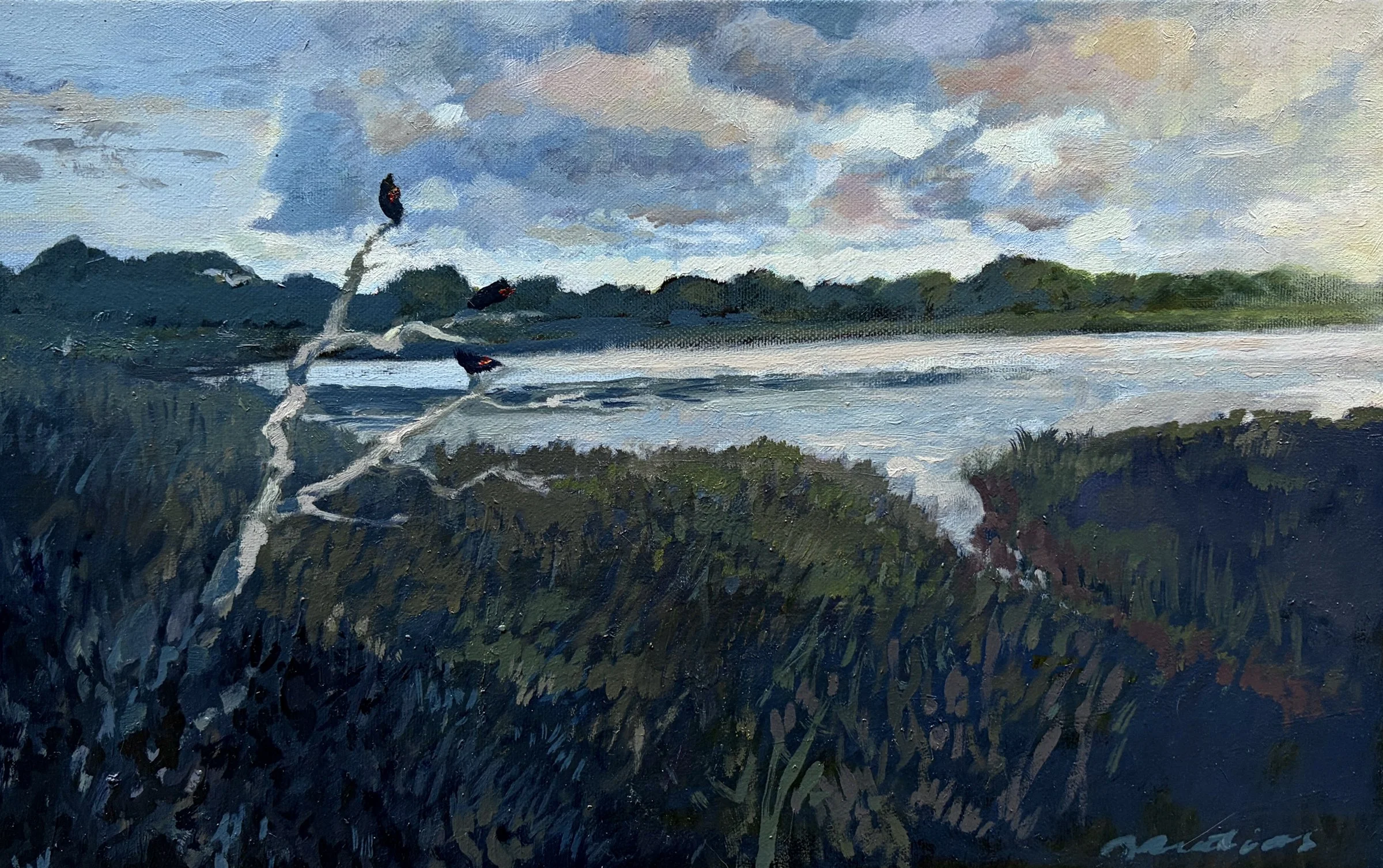 Blue Bayou