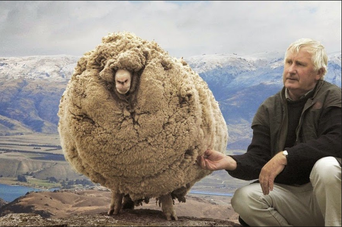 Not my photo. Thank you Google Images.