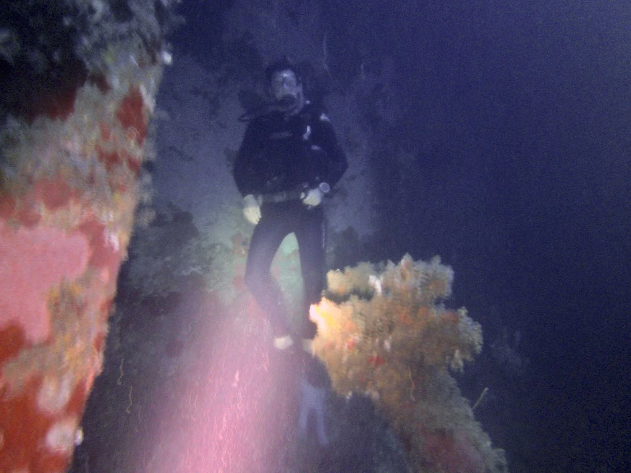 PICT1256.jpg