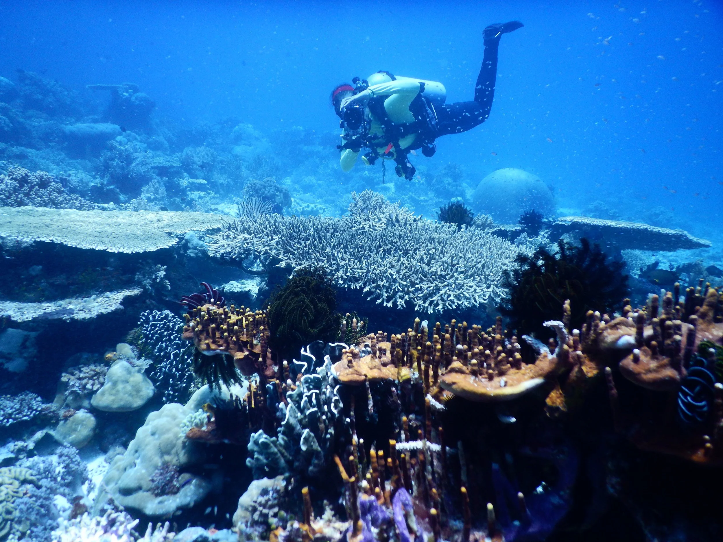 East Timor (15).jpg