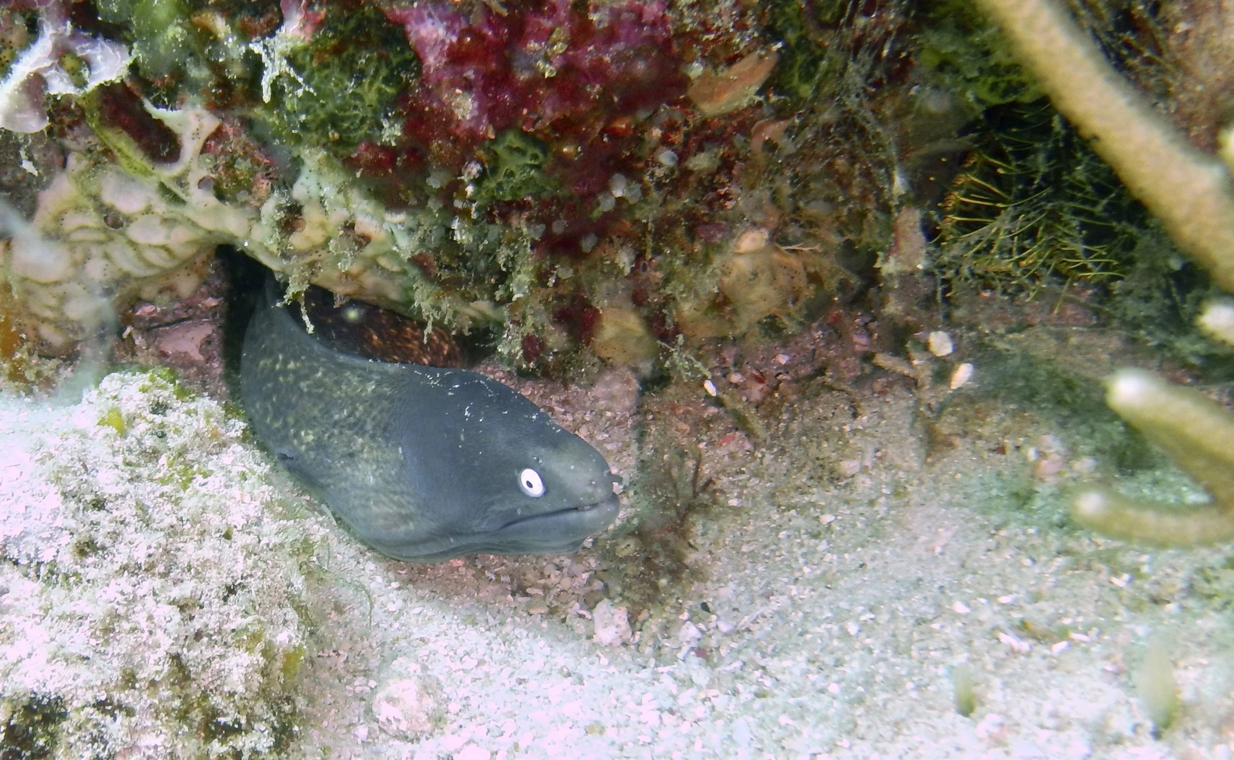 DSCN1551.jpg
