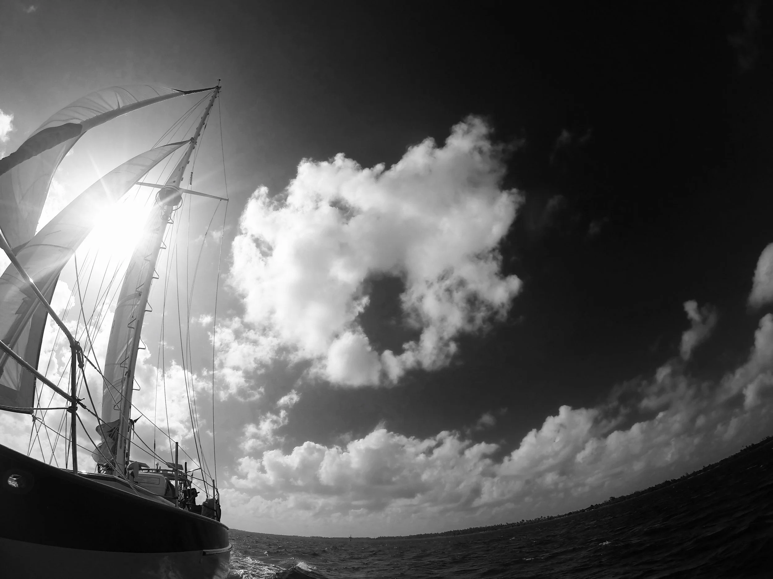 G0333971 (1).jpg