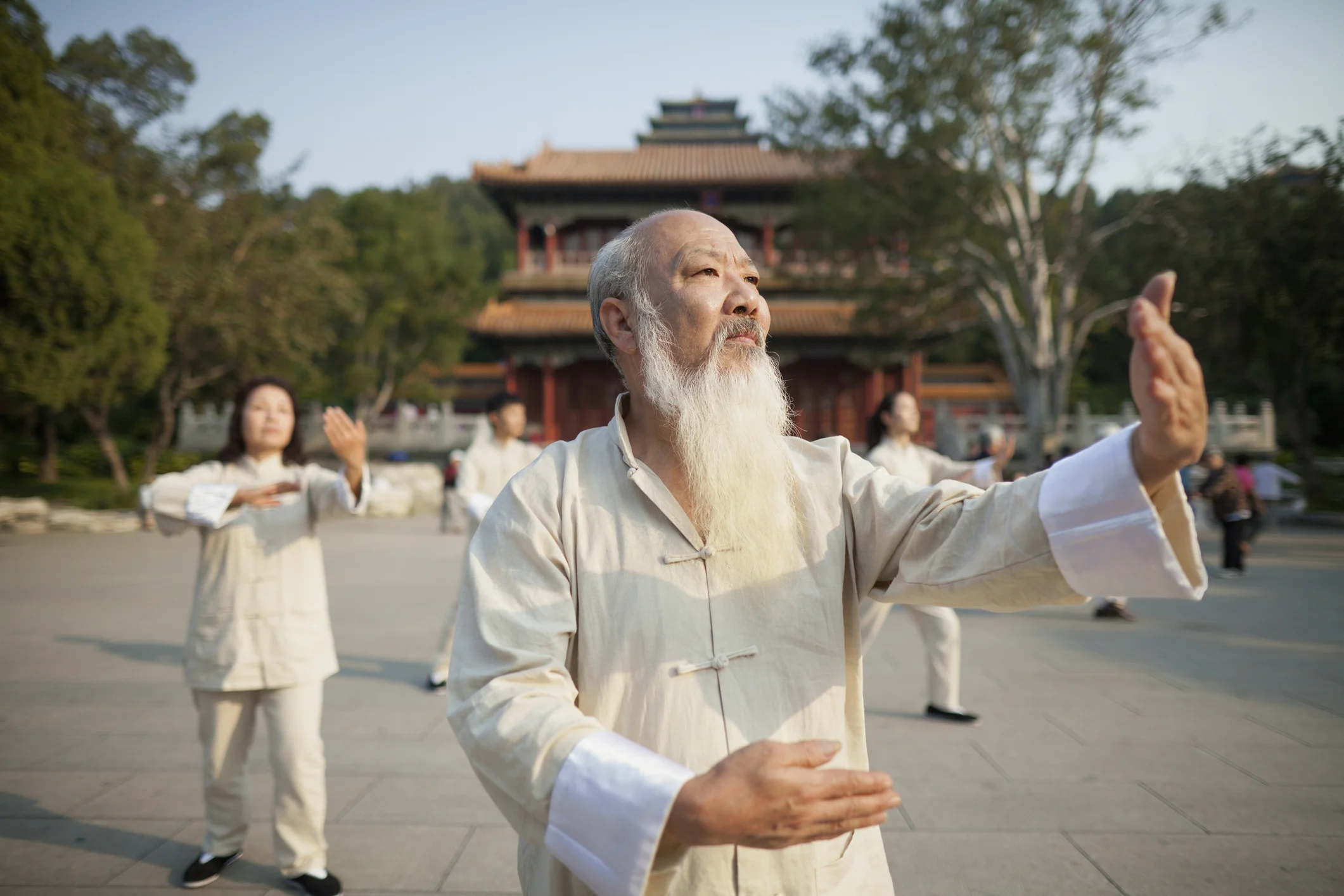Photo by XiXinXing/XiXinXing / Getty Images