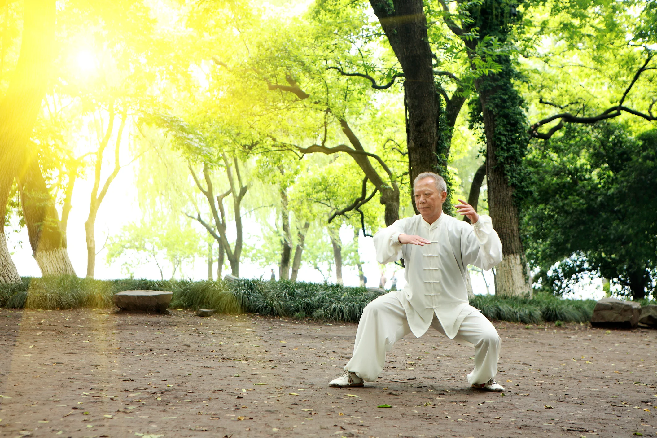 Photo by zhudifeng/iStock / Getty Images