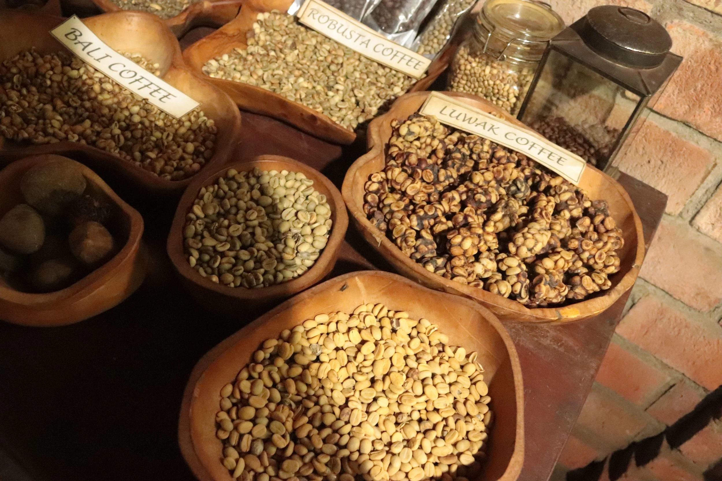 Lewak Coffee Beans Post Cleansing