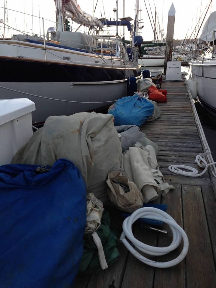 IMG_5920.jpeg