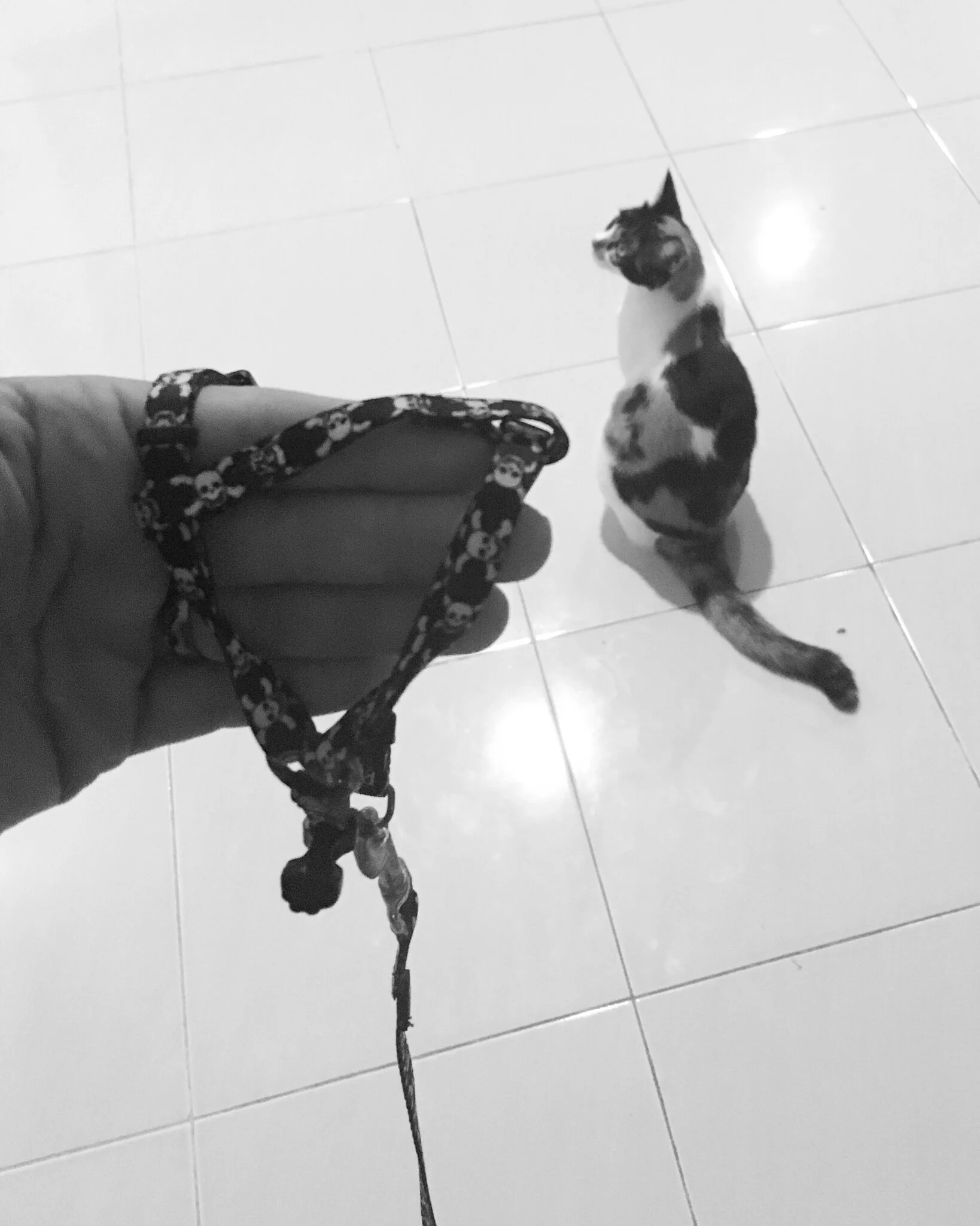 I will NOT wear that.
