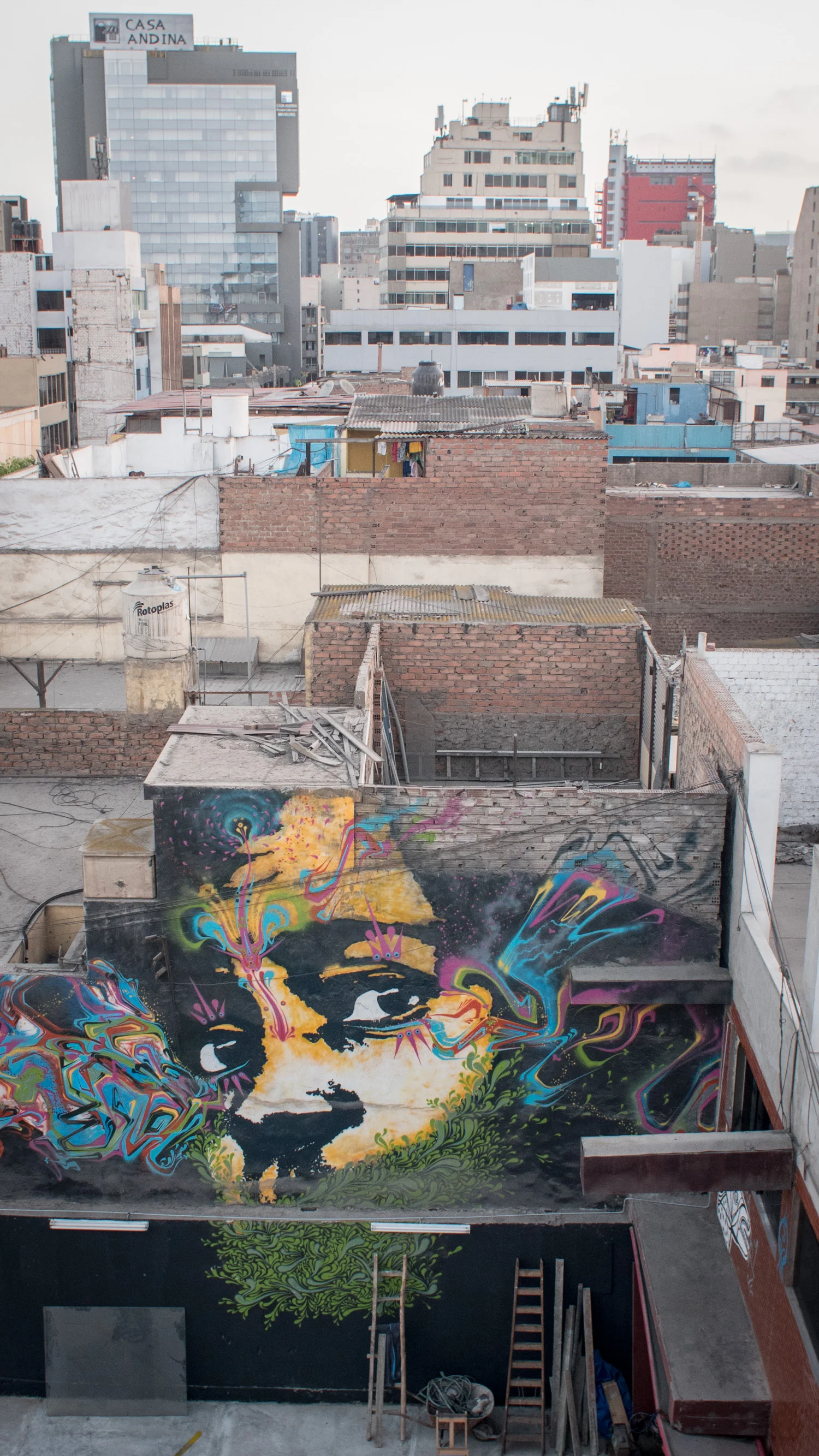 This was the view from our hostel in Miraflores, Lima. All eight of us shared a room here over the duration of the conference. Tight living means tight friendships!