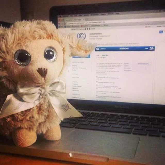 Saskia McCulloch: The Lone Kiwi