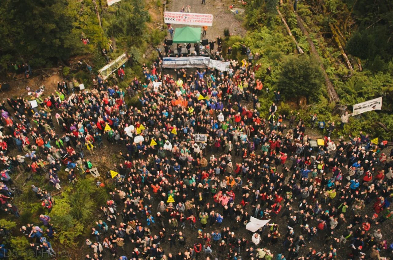 Supporters gather underneath a giant tree occupied by environmental activist Miranda Gibson. Miranda was attacked with a sledgehammer during the campaign but the group was ultimately successful in gaining World Heritage status for large areas of ancient forest in Tasmania. - Photo credit Miranda Gibson.