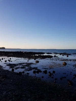 Milford Beach, Auckland New Zealand 