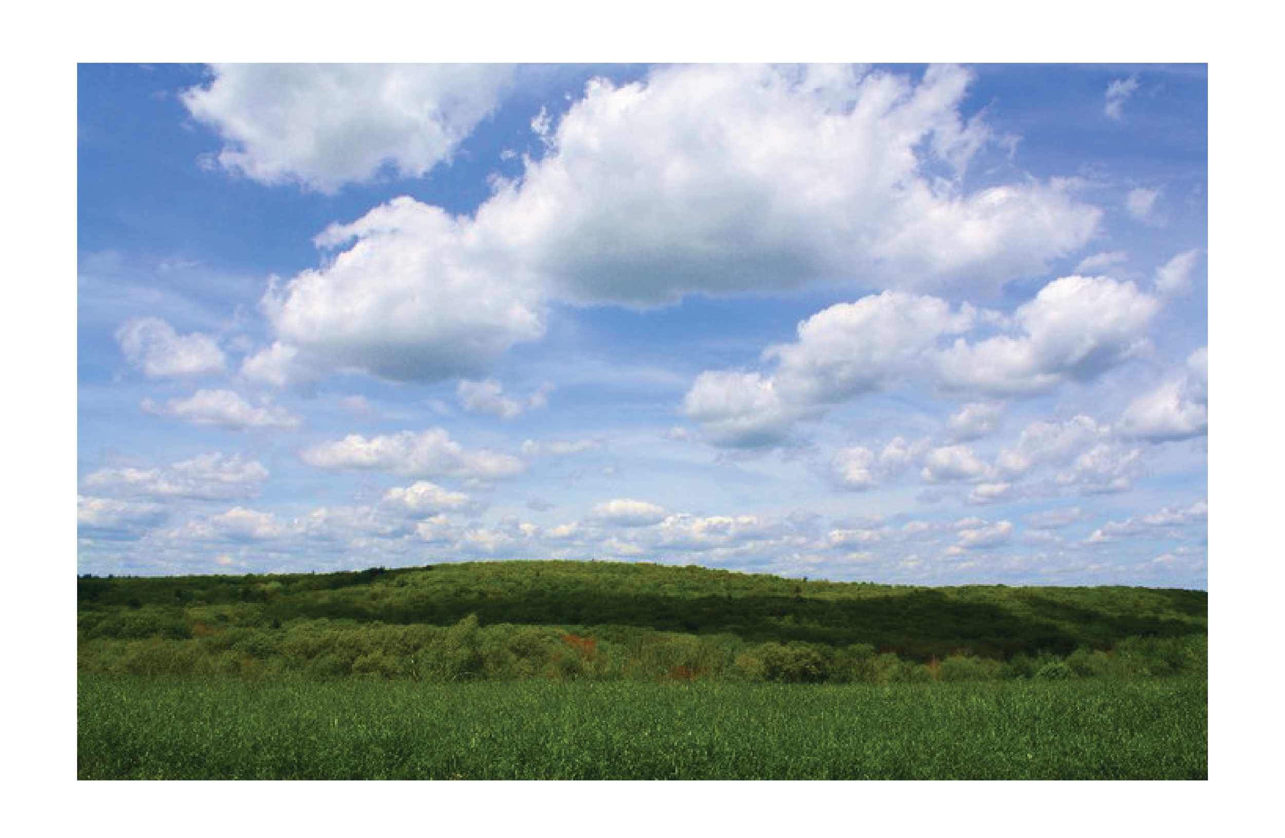 photography-06.png