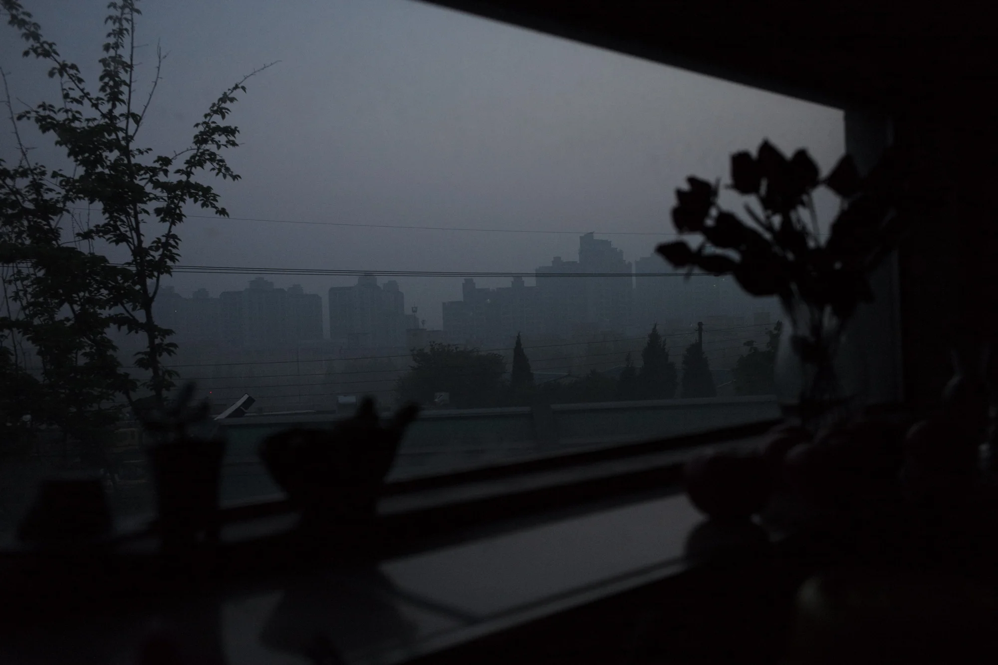 L1006145.jpg