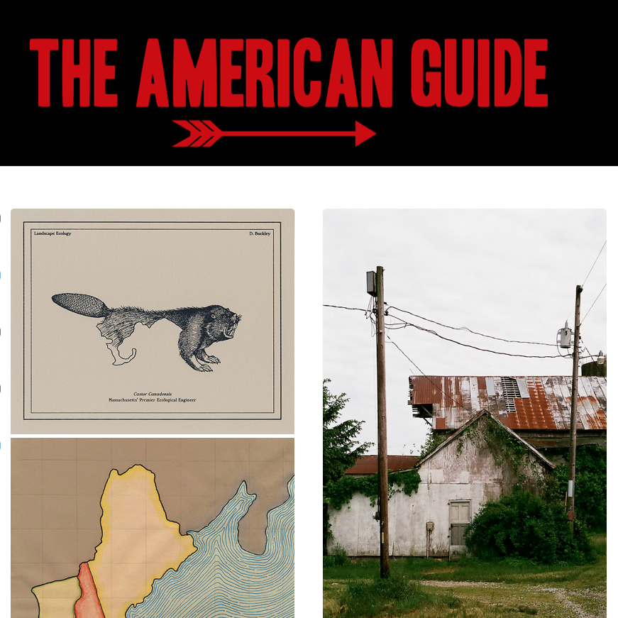AM-guide-2-DBB.png