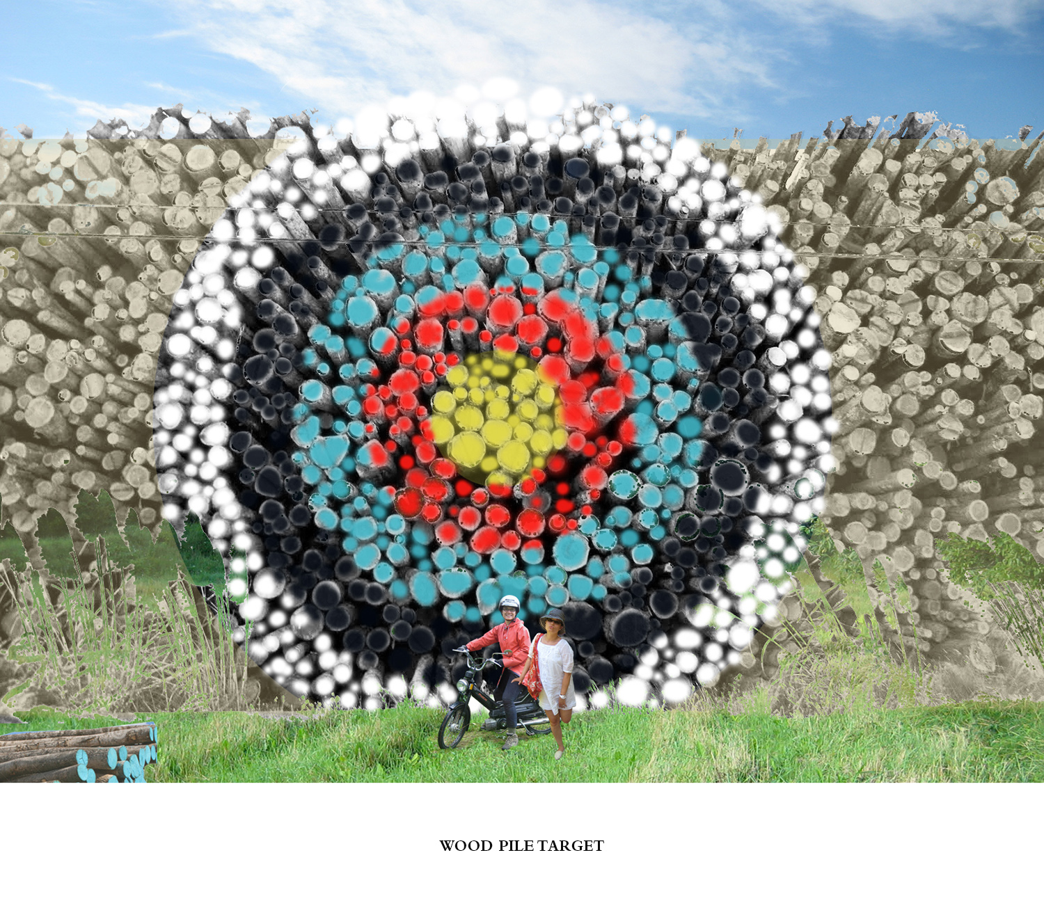 Jan 5: Wood Pile Target