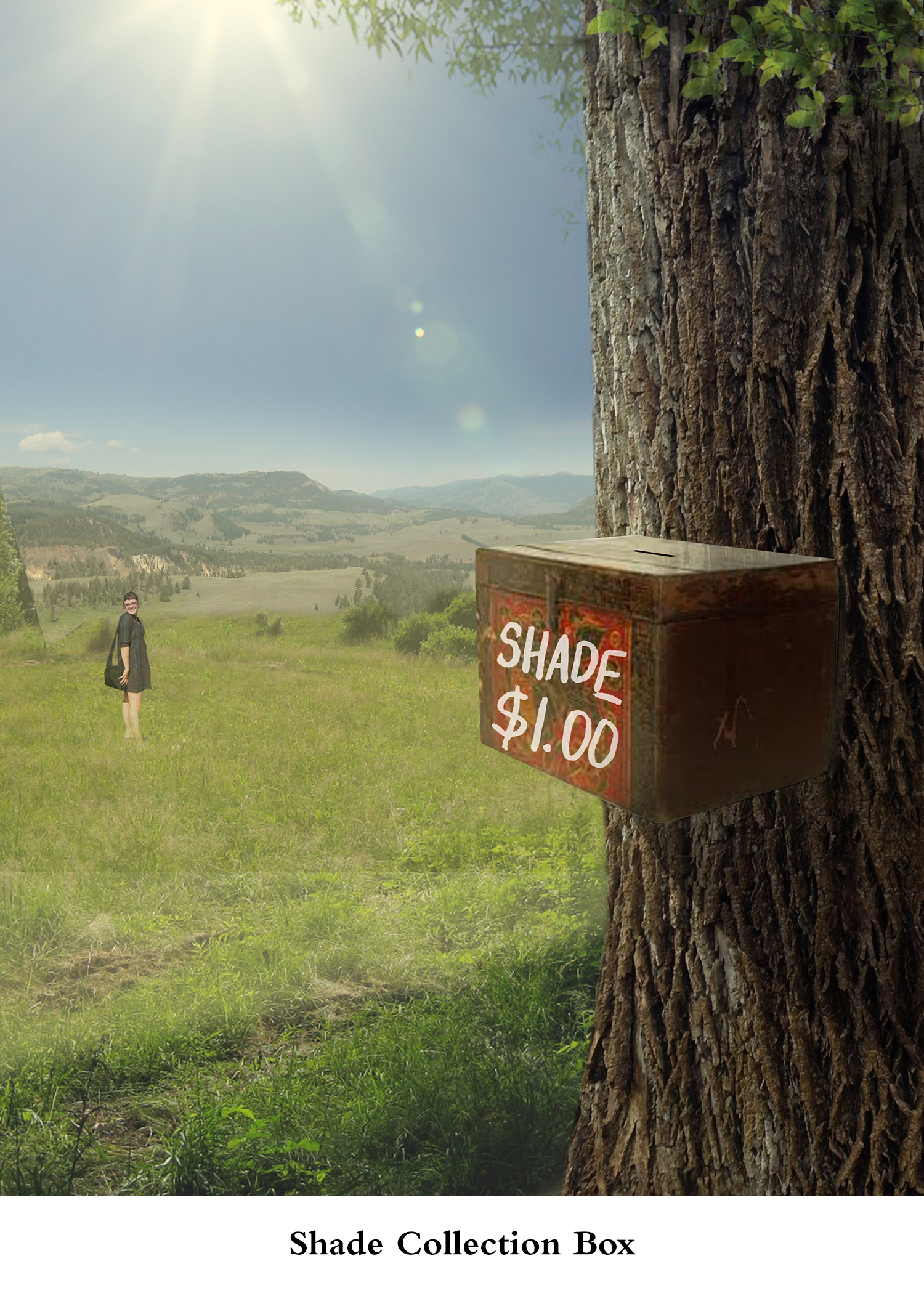 Jan 17: Shade Collection Box