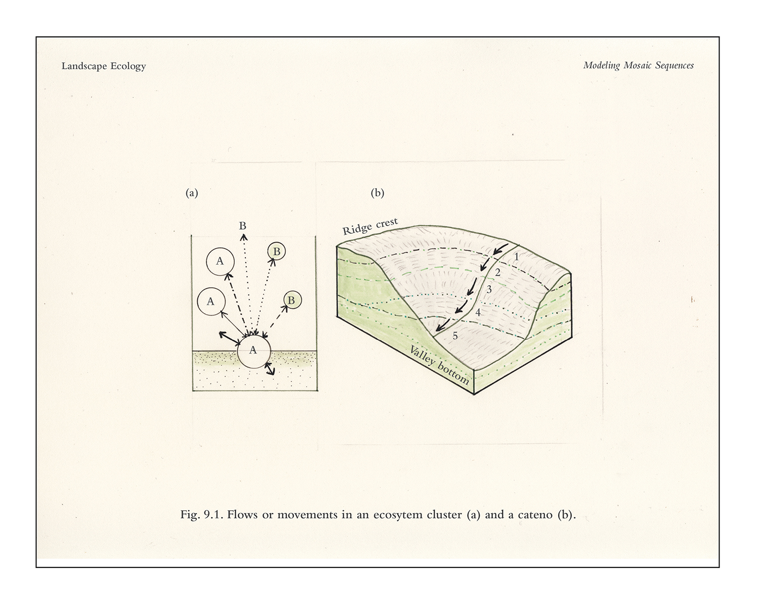 Forman Watercolor Diagrams: Windbreaks and Wind