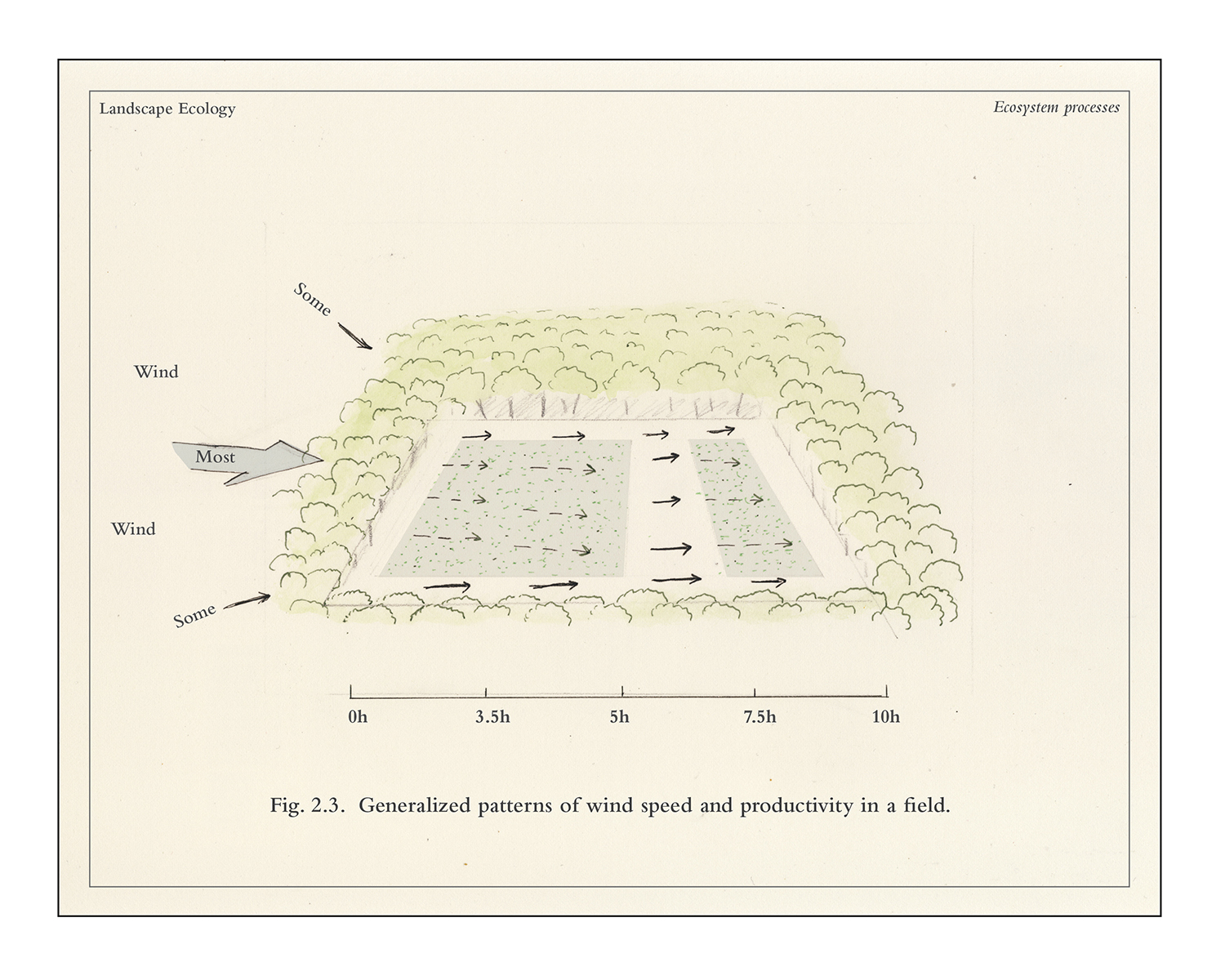 Forman Watercolor Diagrams: Wind