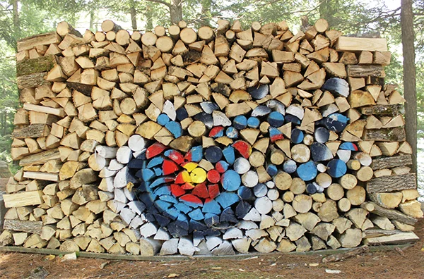 Timber Hibernaculum, Spray Paint and Wood, 5’X9’X4’