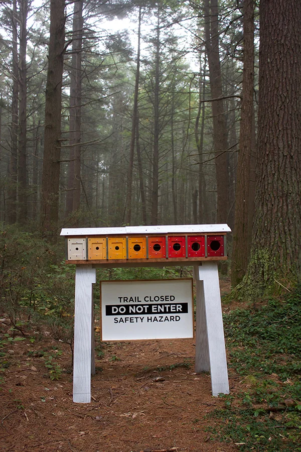 Wayfinding Barrier, No. 2 , installation at Harvard Forest, 2 x 3.5 x 4 feet, wood, acrylic paint, vinyl, sheet metal, aluminum tape, and recycled ant nests and specimen box, 2017. Collaborators: David Buckley Borden, Jack Byers, Dr. Aaron Ellison, and Salua Rivero.