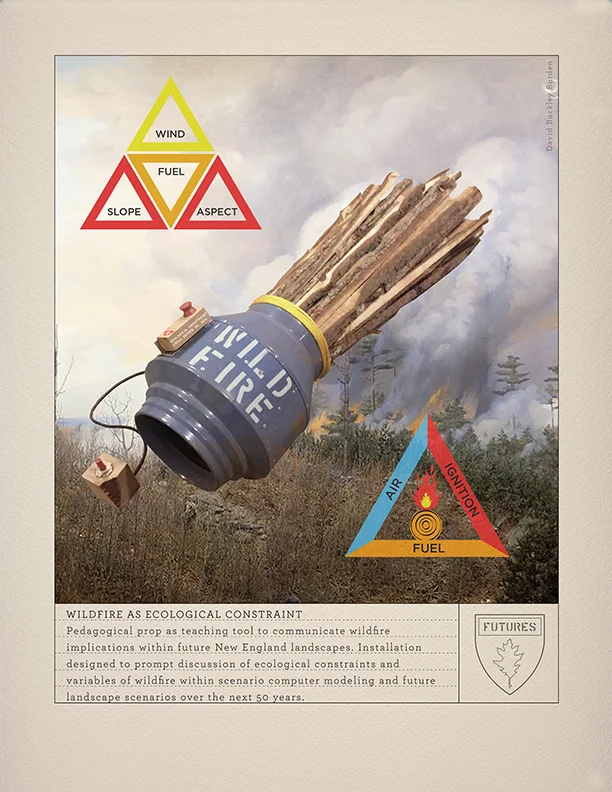“Wild Fire as Ecological Constraint,” digital illustration of physical prop, 8X10 inches, 2016. 