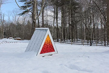 davidbuckleyborden-harvardforest.jpg