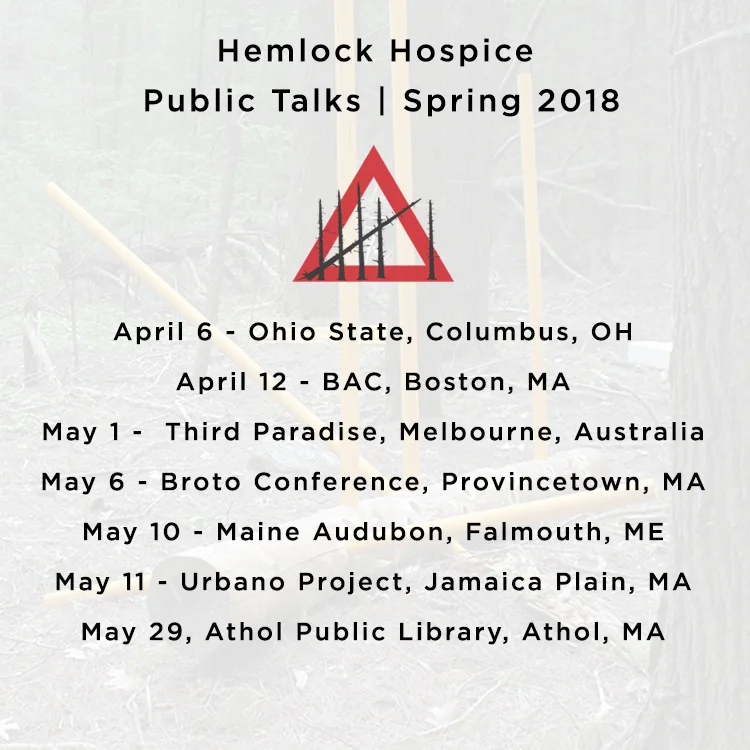 Hemlock Hospice Harvard Forest.jpg