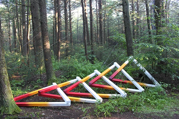 Fast Forward Futures , installation at Harvard Forest, 4 x 8 x 26 feet, wood, acrylic paint, and assorted hardware, 2017. Collaborators: David Buckley Borden, Jack Byers, Dr. Aaron Ellison, Salvador Jiménez-Flores, and Salua Rivero.