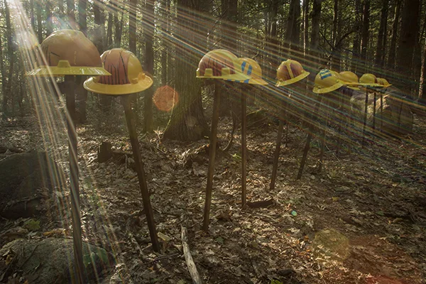 Hemlock Hospice Tour Helmets . installation at Harvard Forest, customized safety helmets, 2017. Collaborators: David Buckley Borden, Jack K Byers, Dr. Aaron Ellison, and Salua Rivero. Photography by Patrick Moore.