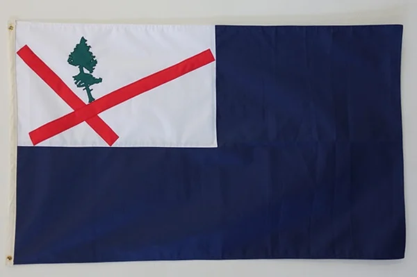 Bunk Hill Flag, marine-grade canvas, 3 x 5 feet, 2018. Collaboration with Michael Demaggio.
