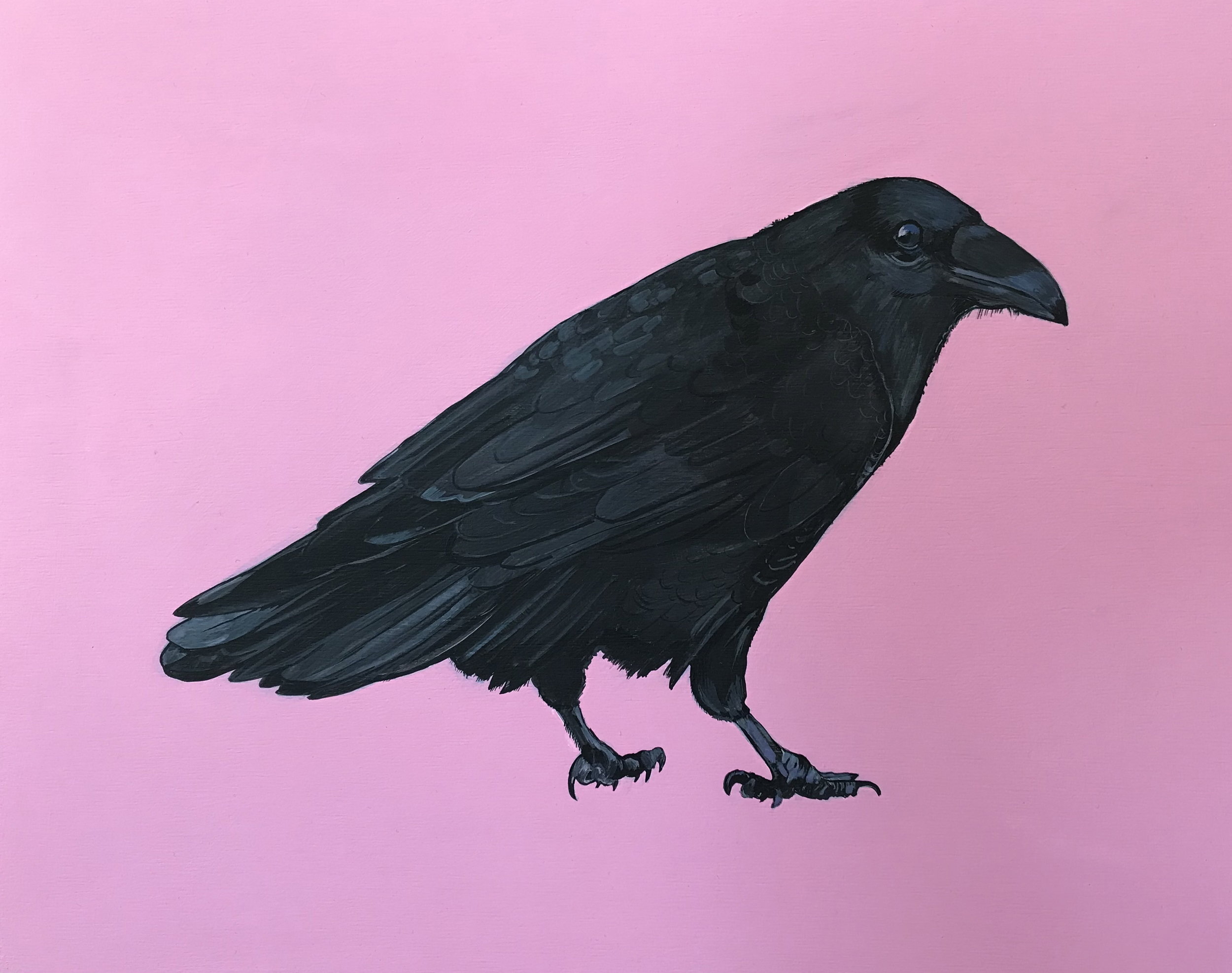 Raven, 2018, Acrylic on Wood Panel, 11" x 14".