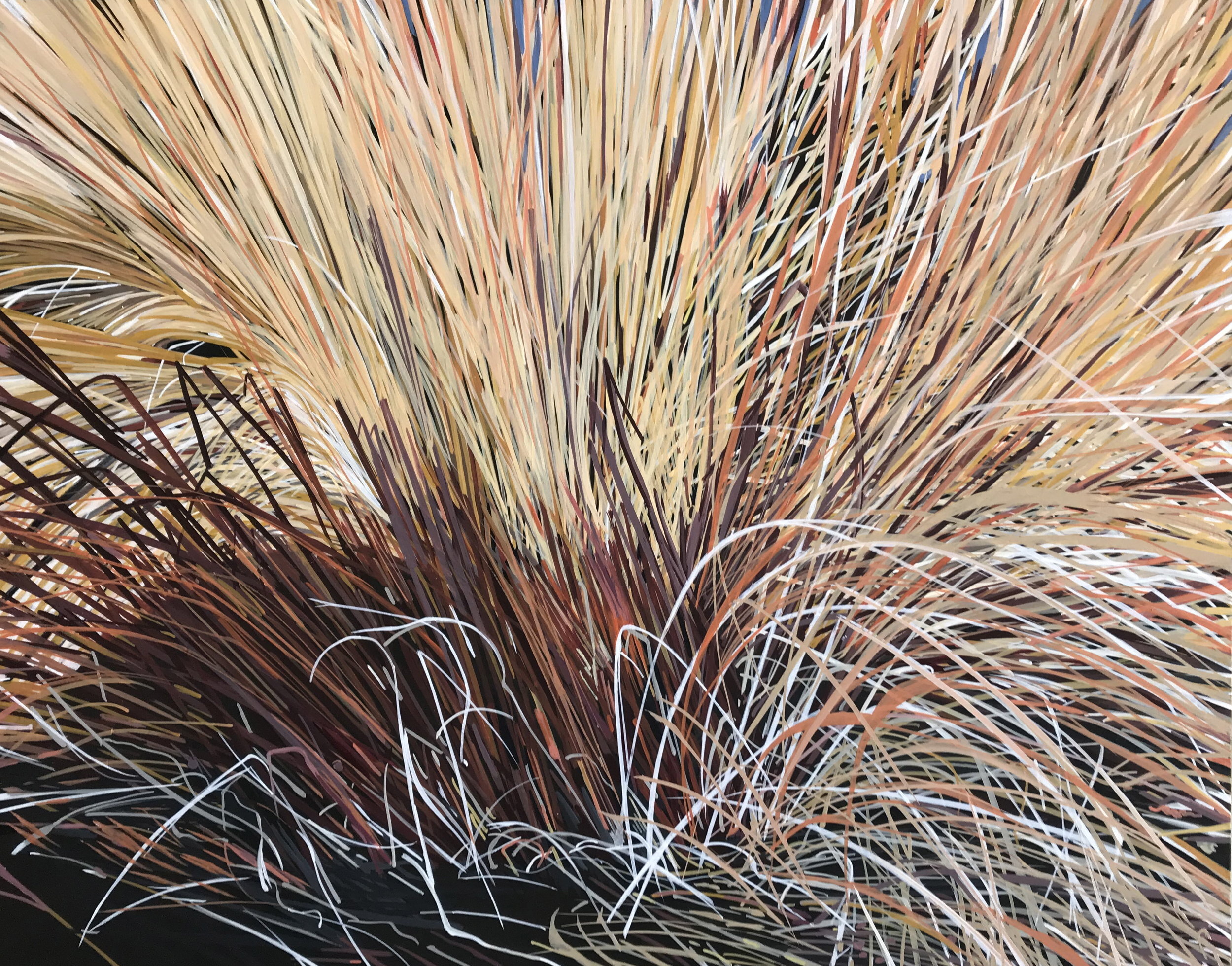 Leatherleaf Sedge, 2018, Acrylic on Wood Panel, 16" x 20".