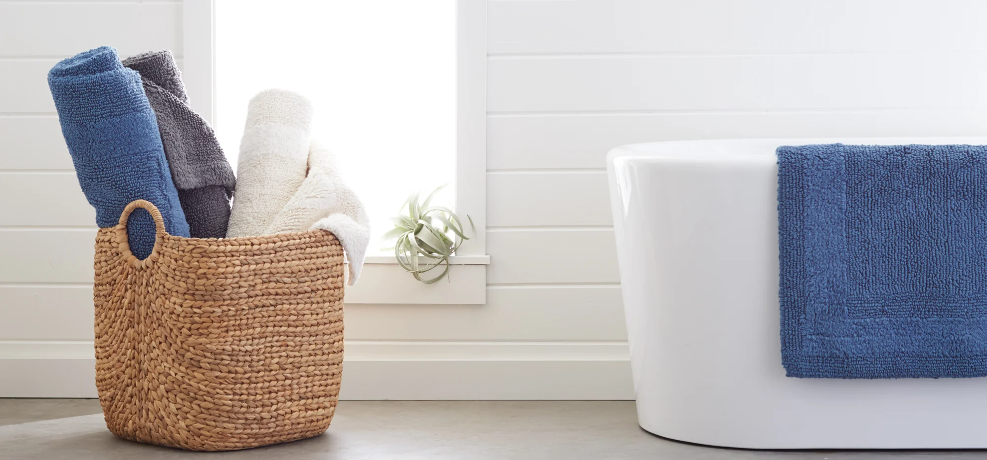02282016_BathRug_Collection_V2_SC_jw_v2.jpg