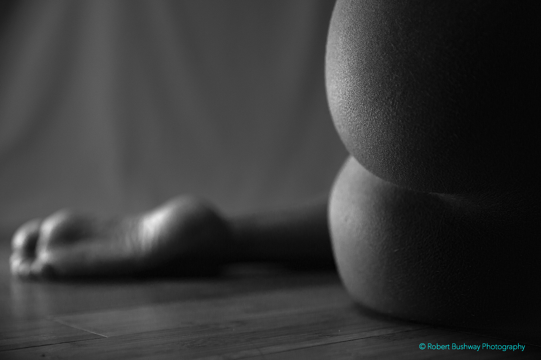 leg#4-nude(B&W)(WEB)(copyright).jpg