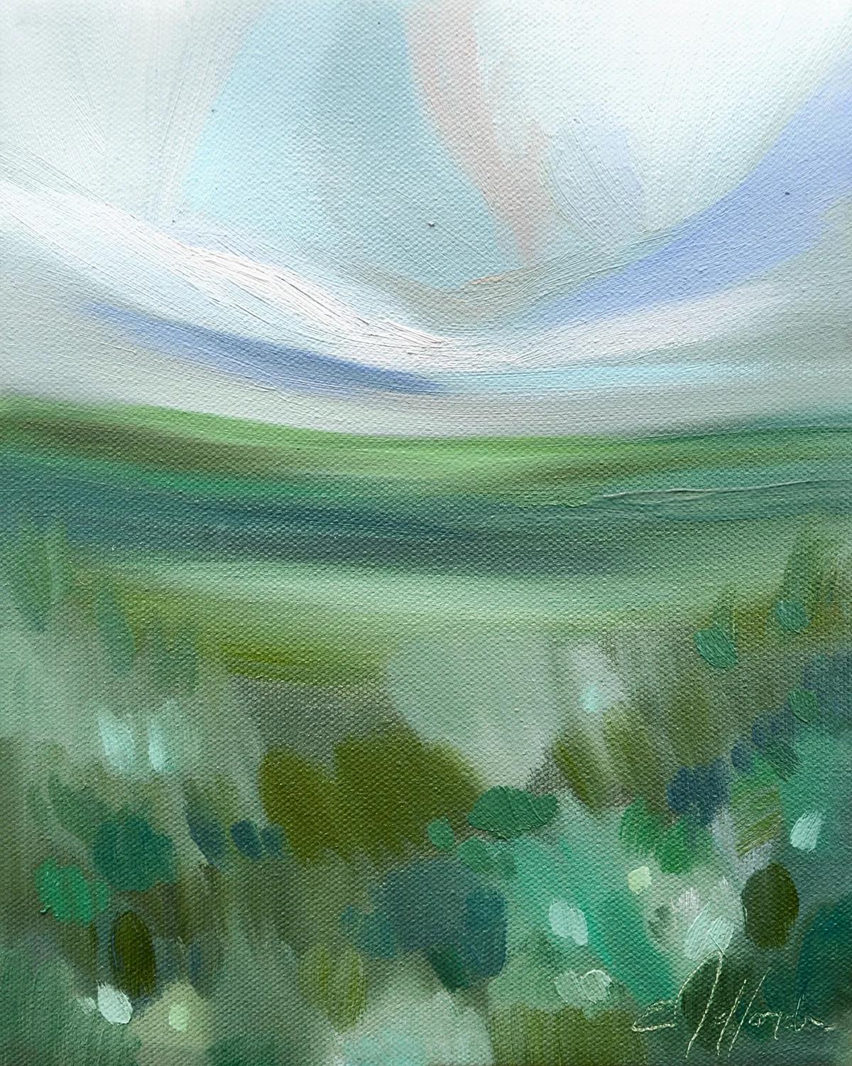WarmFields.jpg