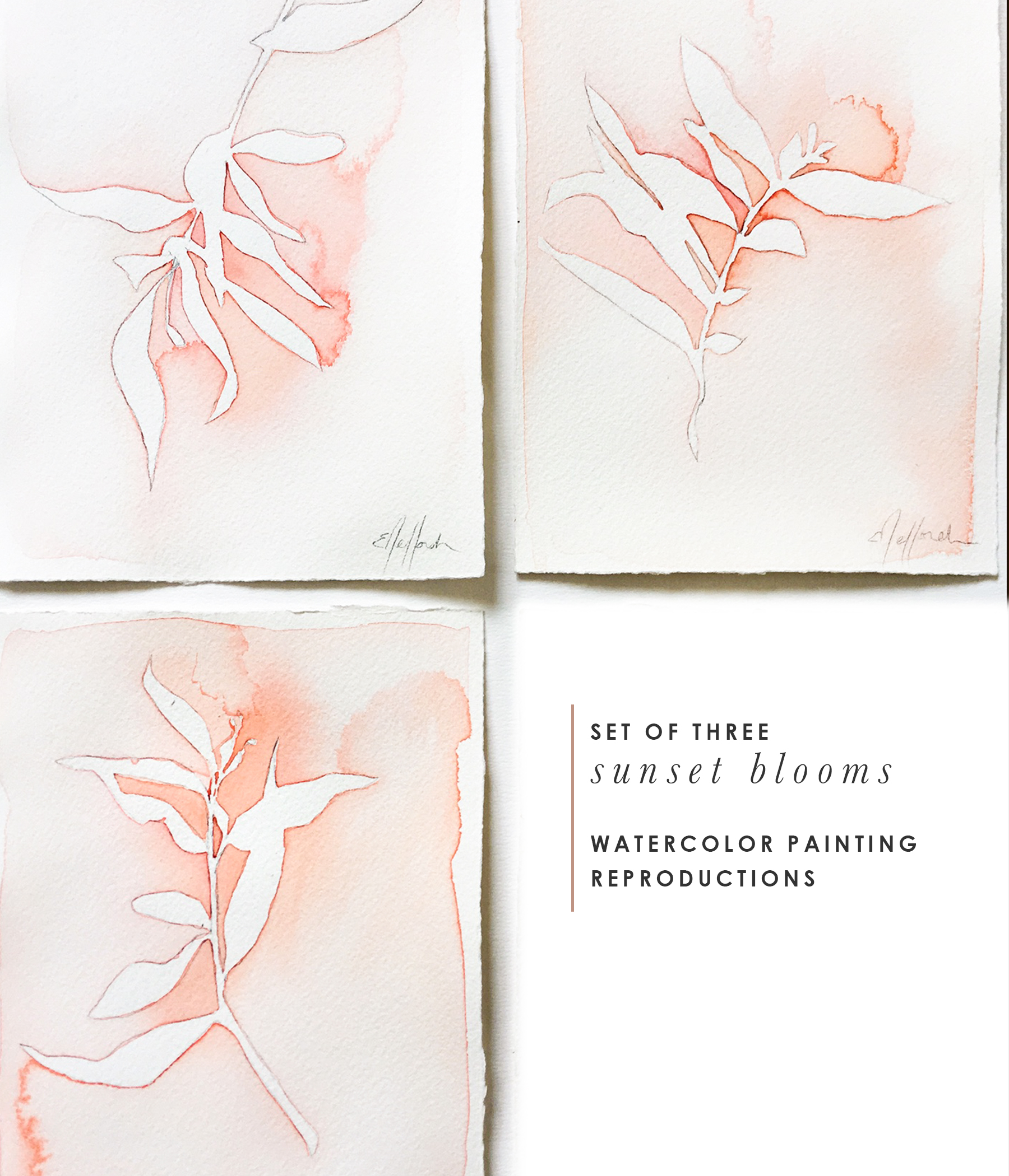 watercolorset.jpg