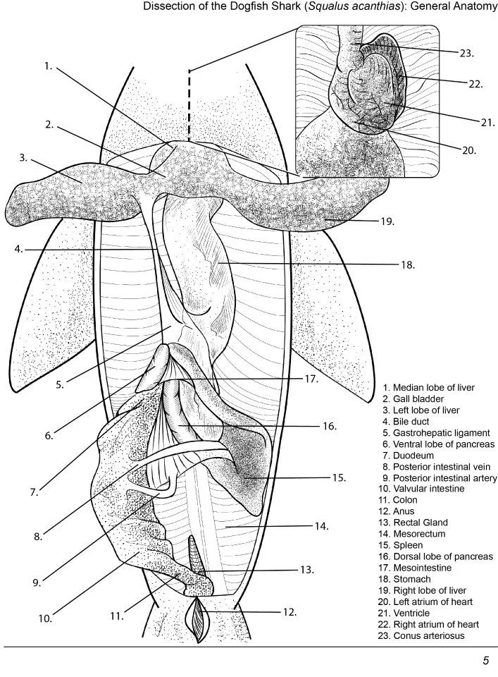 380305_499693756742330_1269580756_n.jpg