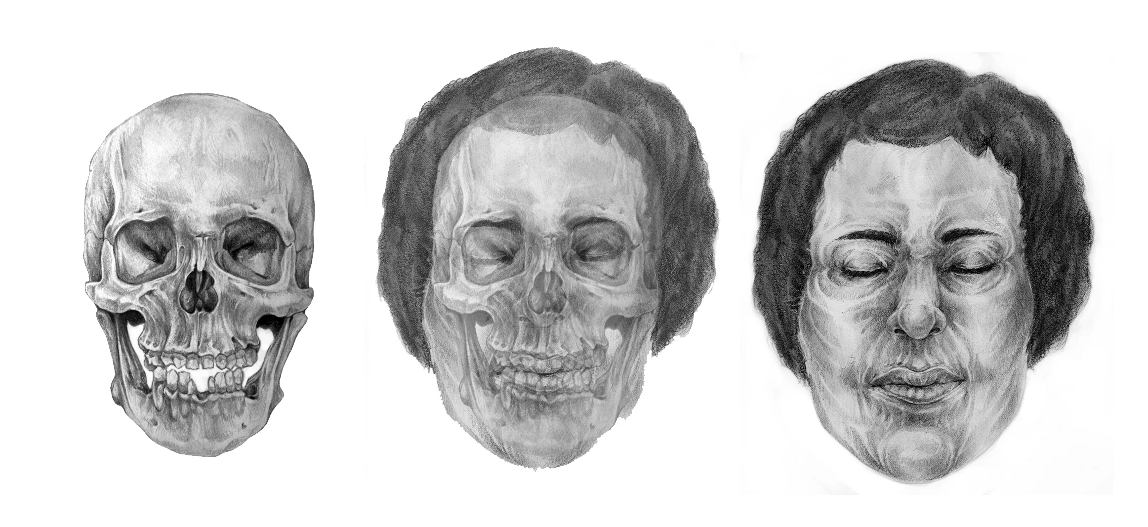 facialrecon.jpg