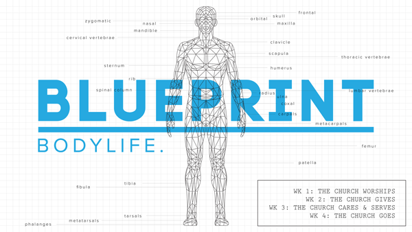 Blue Print.png