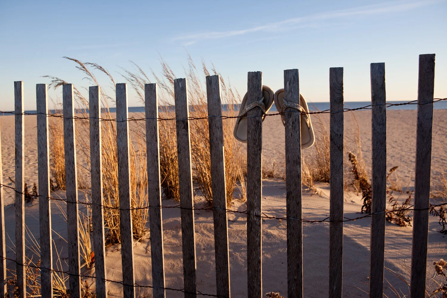 Philly Beach, Cape May