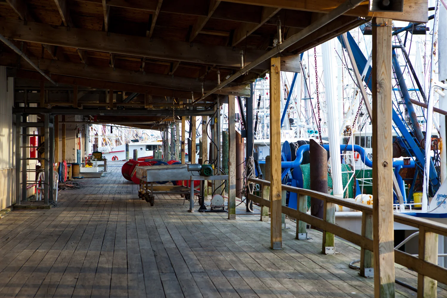 CapeMay_123108_296.jpg