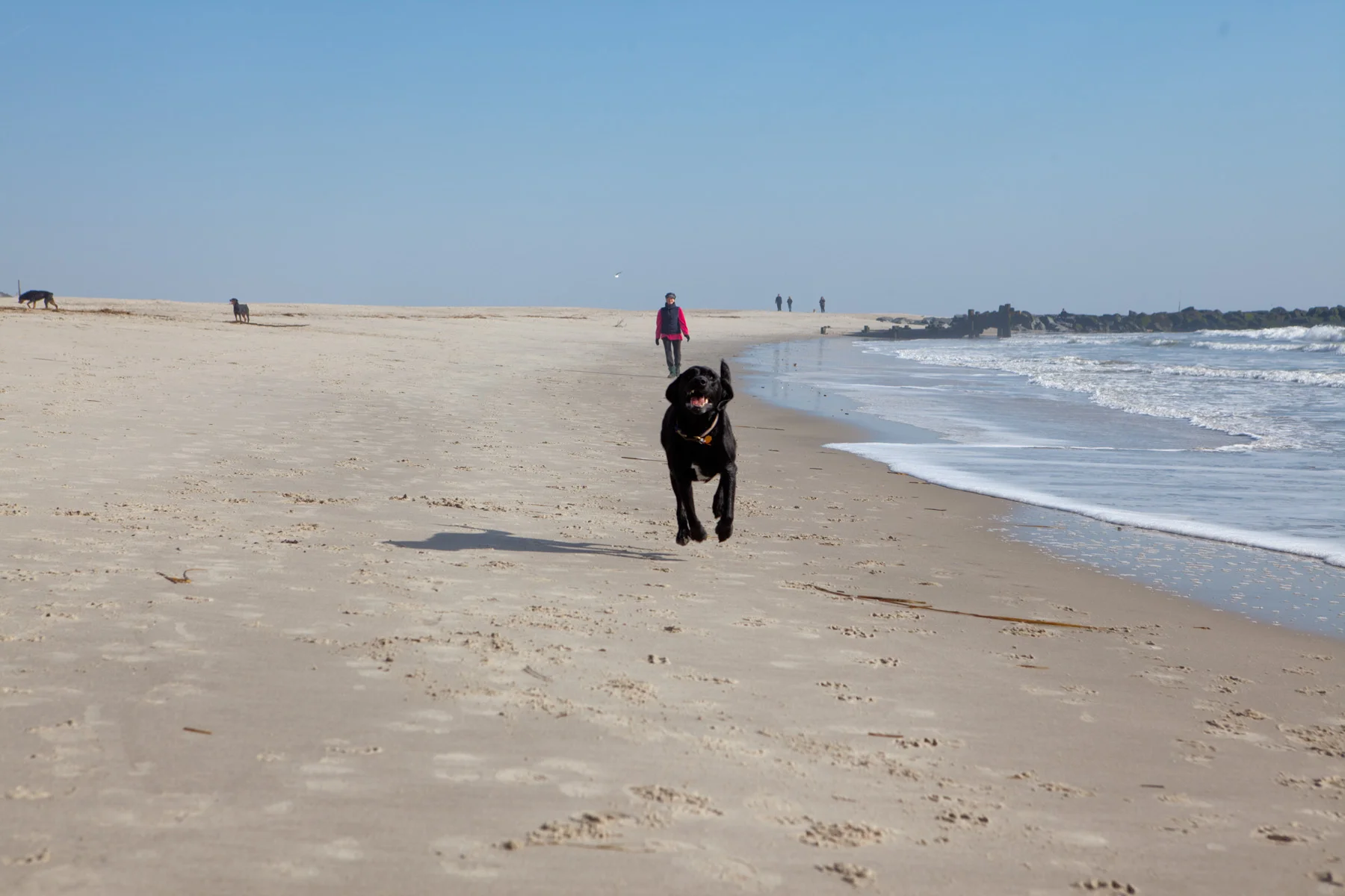 CapeMay_010111_044.jpg