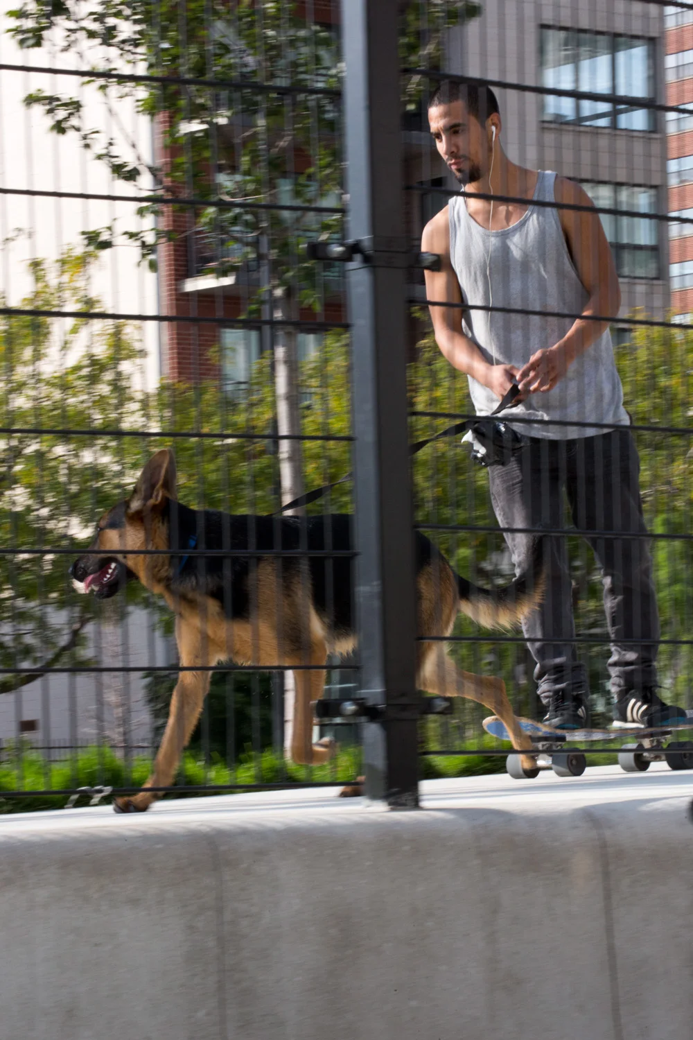 Fred Anderson Dog Park